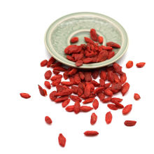 Dates New Chinese Medlar Wolfberry Dried Goji Berry fruits for sale
